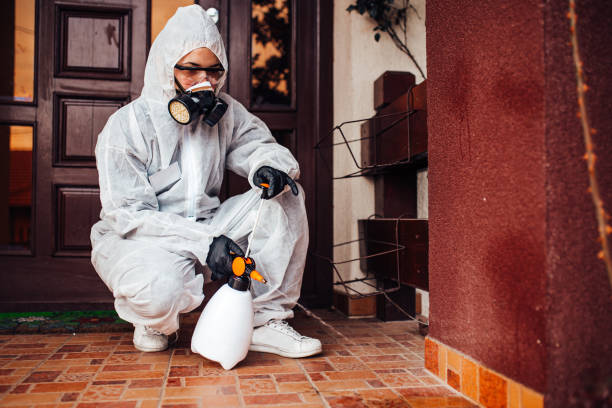 Reliable Bed Bug Control contractor in Folly Beach, SC by Nex Pest Control