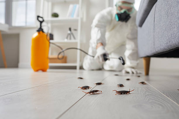 Trusted Mosquito Control service in Folly Beach, SC - Nex Pest Control