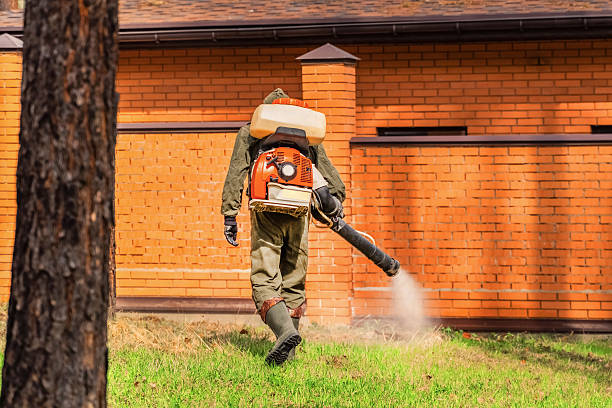 Trusted Rodent Control service in Folly Beach, SC - Nex Pest Control